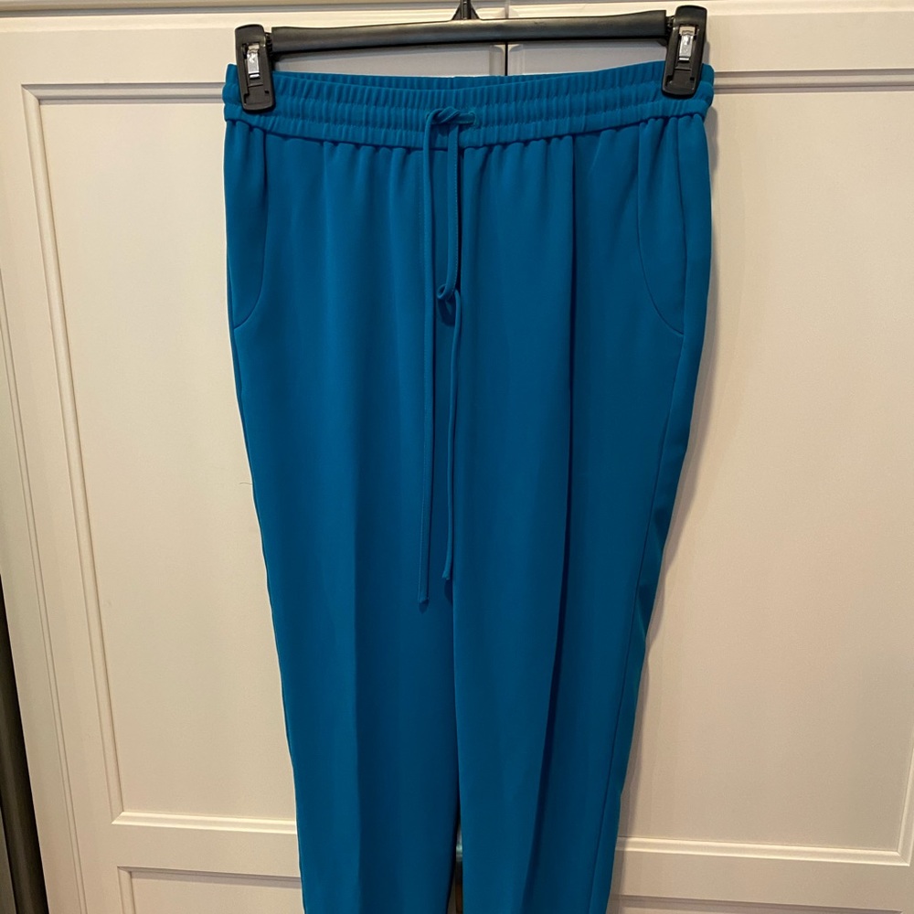 Jcrew pant